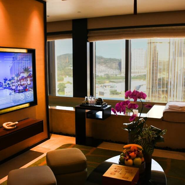 Deluxe Business Room